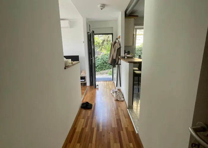 Panorama - Gellert Hill Daire